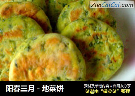 阳春三月－地菜饼