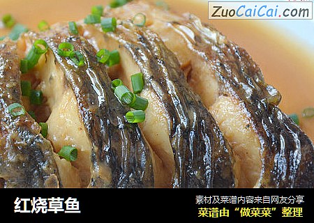 红烧草鱼
