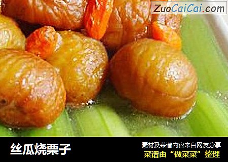 丝瓜烧栗子