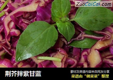 荆芥拌紫甘蓝