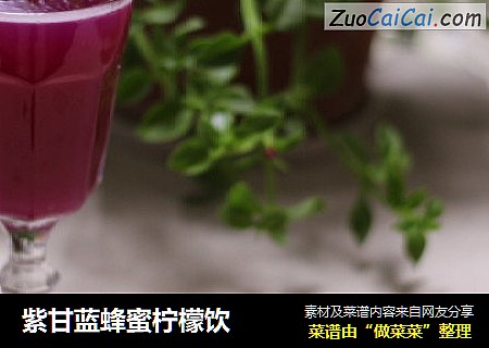 紫甘蓝蜂蜜柠檬饮