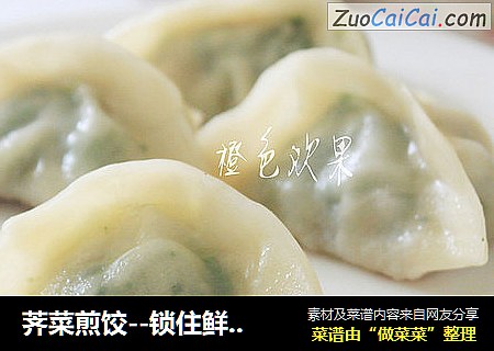 荠菜煎饺--锁住鲜美与你共享