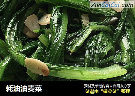 耗油油麦菜