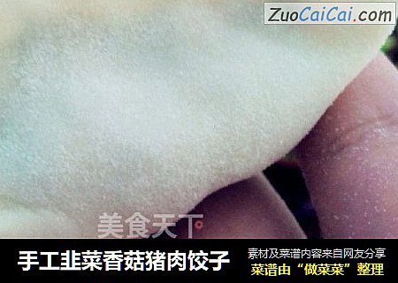 手工韭菜香菇猪肉饺子