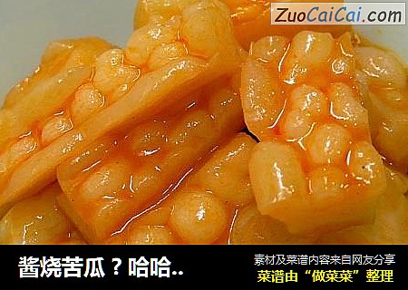 酱烧苦瓜 ? 哈哈苦瓜 3