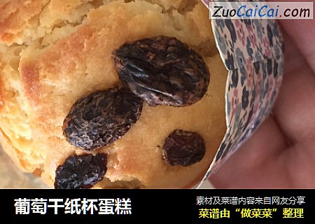 葡萄干纸杯蛋糕