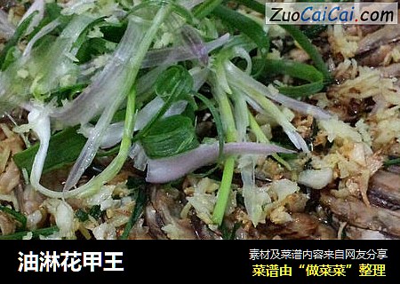 油淋花甲王