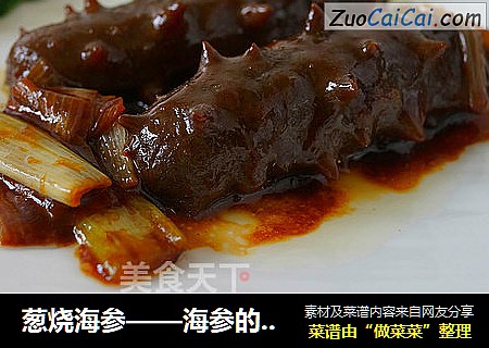 葱烧海参——海参的家常做法