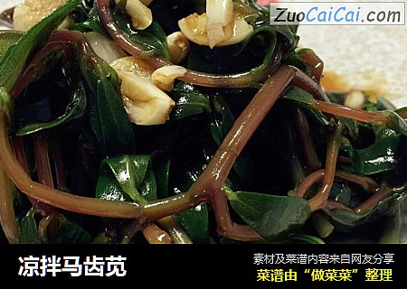 凉拌马齿苋