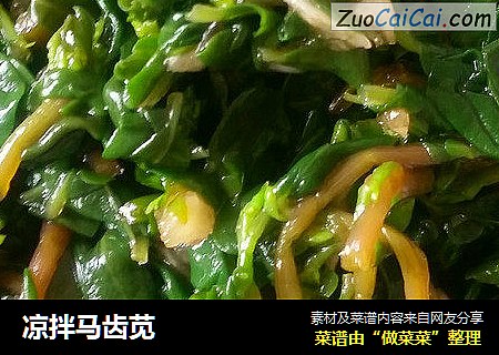 凉拌马齿苋