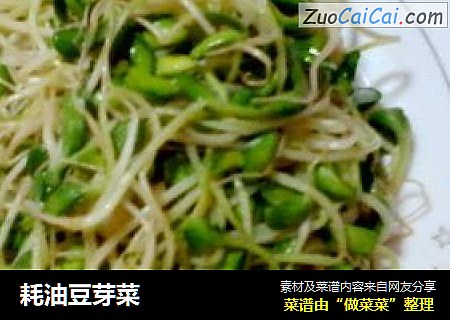 耗油豆芽菜