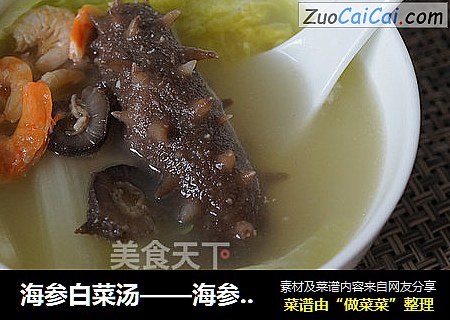 海参白菜汤——海参的家常做法