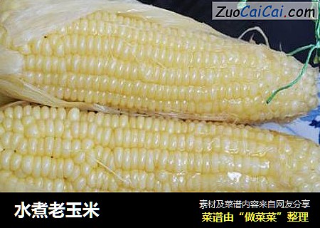 水煮老玉米