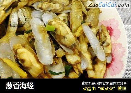 葱香海蛏