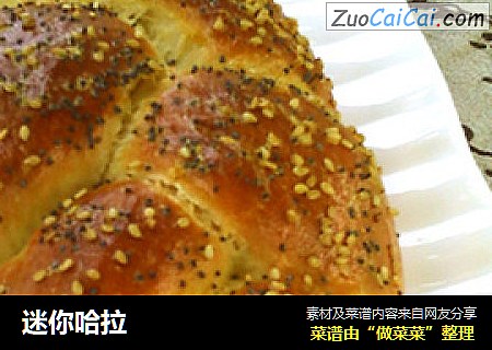 迷你哈拉