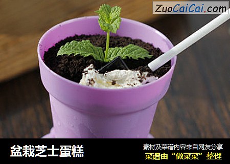 盆栽芝士蛋糕