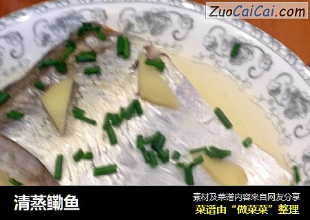 清蒸鳓鱼