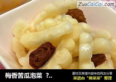 梅香苦瓜泡菜  ? 哈哈苦瓜 6