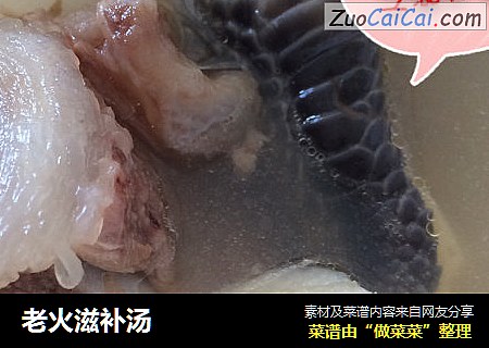 老火滋补汤
