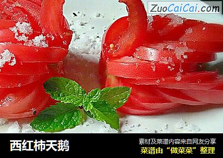 西红柿天鹅