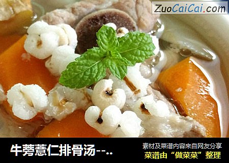 牛蒡薏仁排骨汤----天际 DGZN22-22BWG云智能隔水电炖锅体验