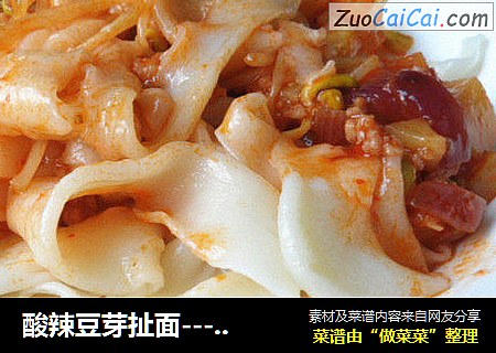 酸辣豆芽扯面-----------适合夏天的开胃面