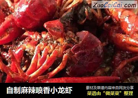 自制麻辣喷香小龙虾