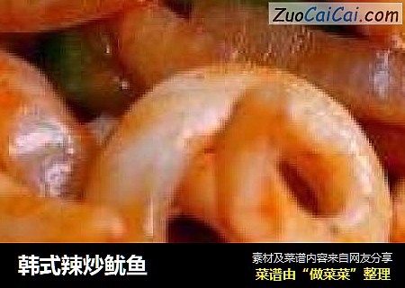 韩式辣炒鱿鱼