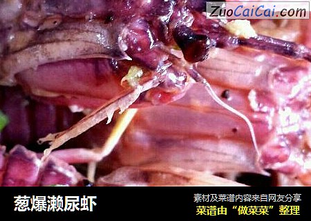 葱爆濑尿虾