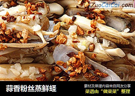 蒜香粉丝蒸鲜蛏
