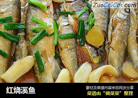 红烧溪鱼