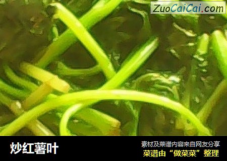 炒红薯叶