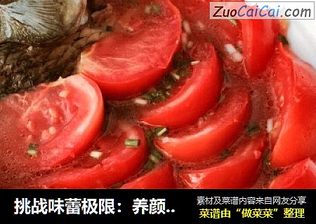 挑战味蕾极限：养颜番茄鲫鱼汤的任性吃法