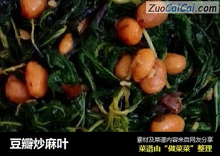 豆瓣炒麻叶