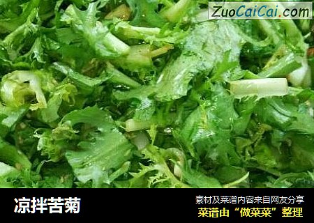 凉拌苦菊