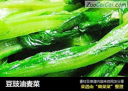 豆豉油麦菜