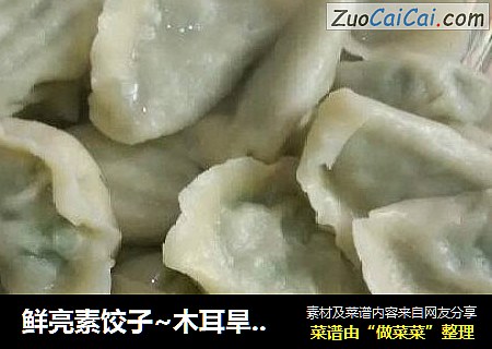 鲜亮素饺子~木耳旱黄瓜鸡蛋大素饺儿