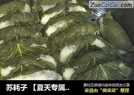 苏耗子【夏天专属快手小吃】