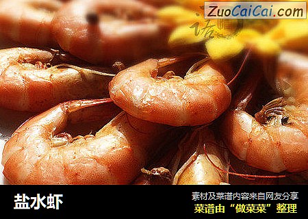 盐水虾