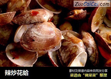 辣炒花蛤