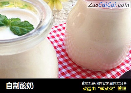 自制酸奶