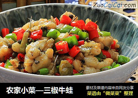 农家小菜—三椒牛蛙