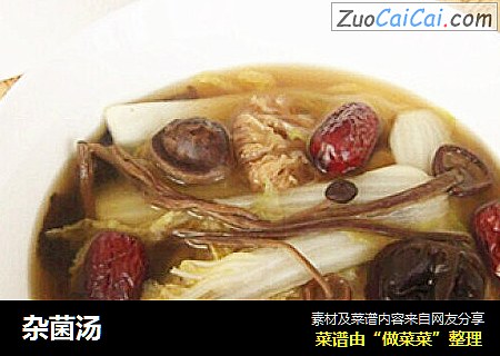 杂菌汤