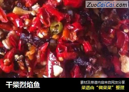 干柴烈焰鱼