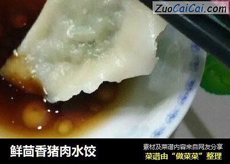 鲜茴香猪肉水饺