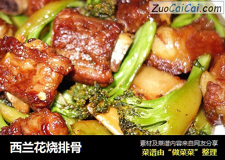 西兰花烧排骨