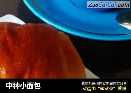 中种小面包