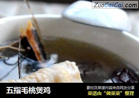 五指毛桃煲鸡