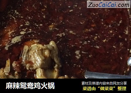麻辣鸳鸯鸡火锅