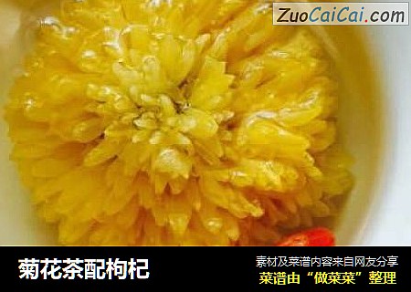 菊花茶配枸杞